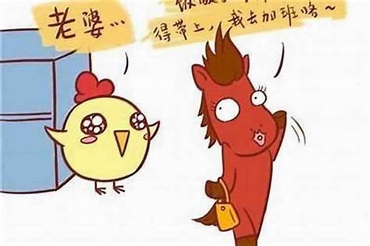 生肖属鸡今年适合结婚吗