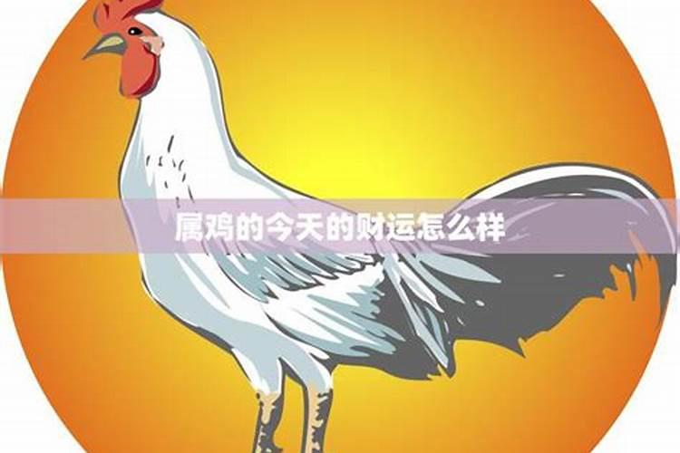 属鸡的今天运势和财运如何