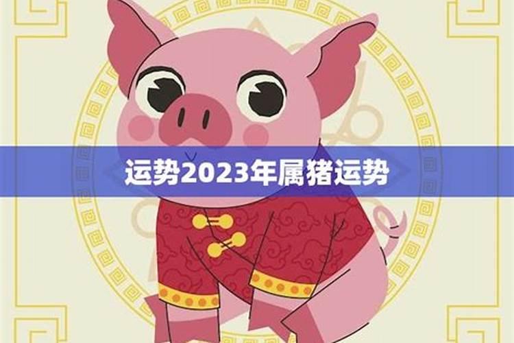 属猪2023年运势查询