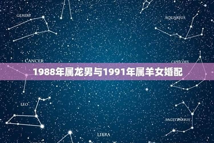 1988年属龙女与1991年属羊的男配不