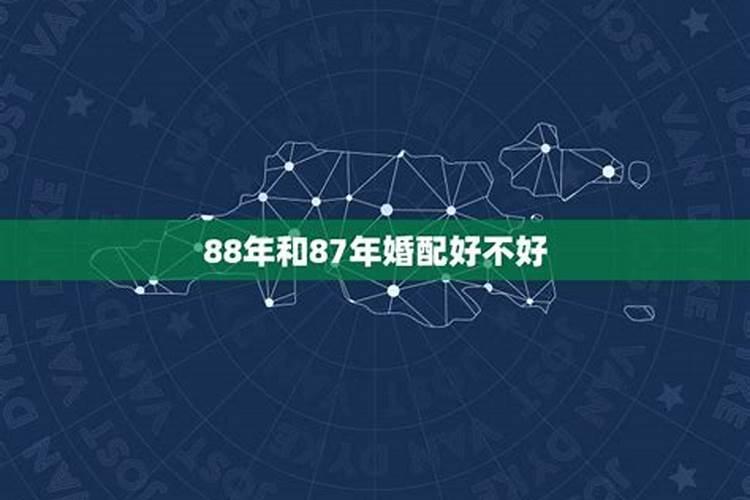 87年的兔和88年的龙相配吗？