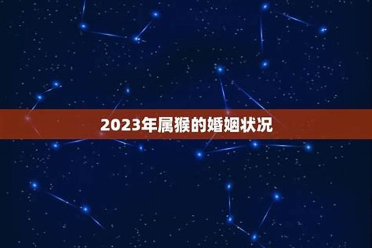 2023年属猴的运气1980