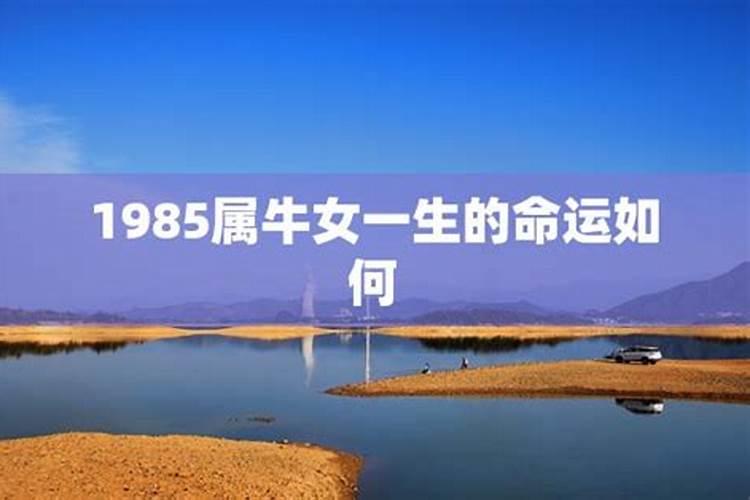 1985年属牛女和1985年属牛男的婚姻怎么样