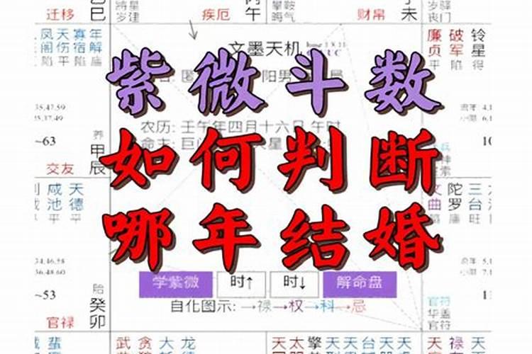 易懂紫微斗数