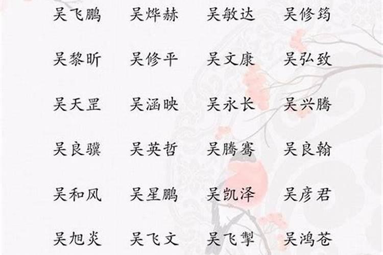 吴姓宝宝起名大全男孩名字