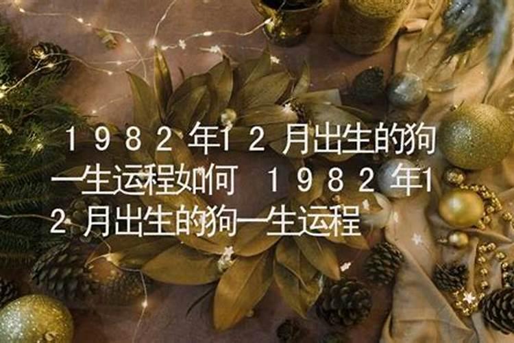 82年男运势怎么样