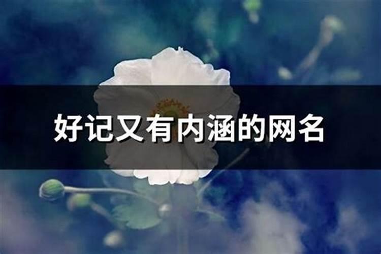 好记又简单的名字