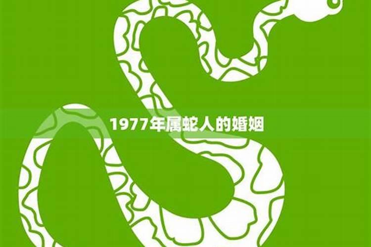 属蛇1977年婚姻男人，1977年属蛇人的婚姻怎么样