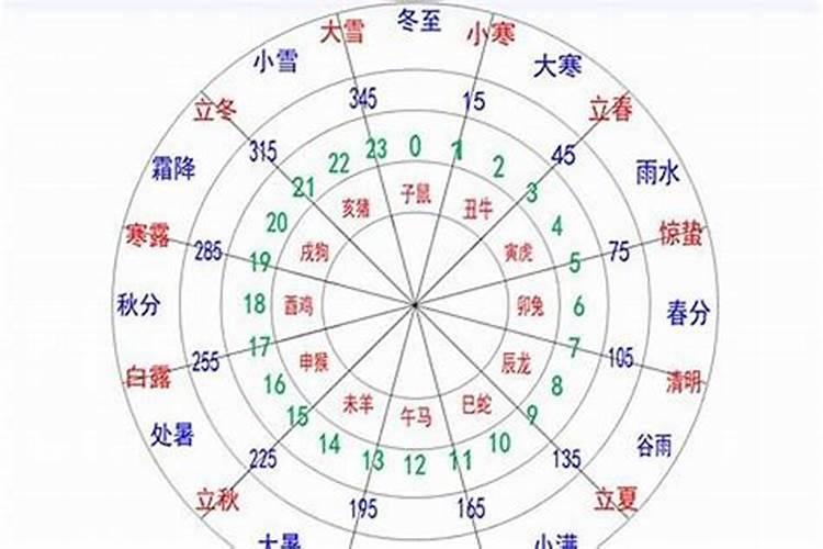 八字月支日支怎么看