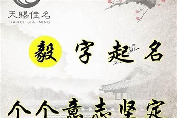 毅然取名字寓意