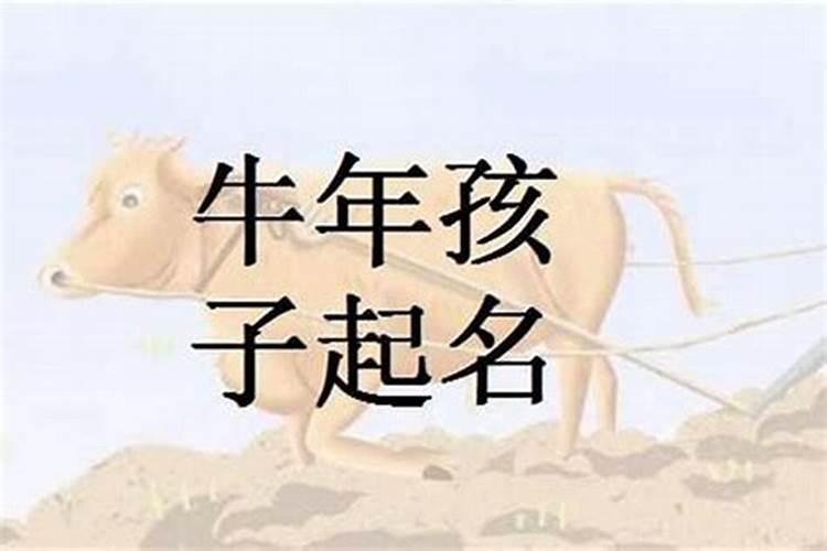 牛年下午5点出生叫名字