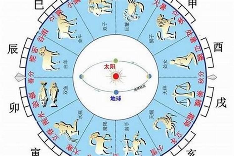 天干地支命格查询