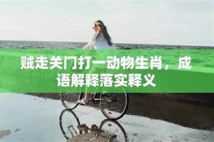 贵人是指什么生肖请解释