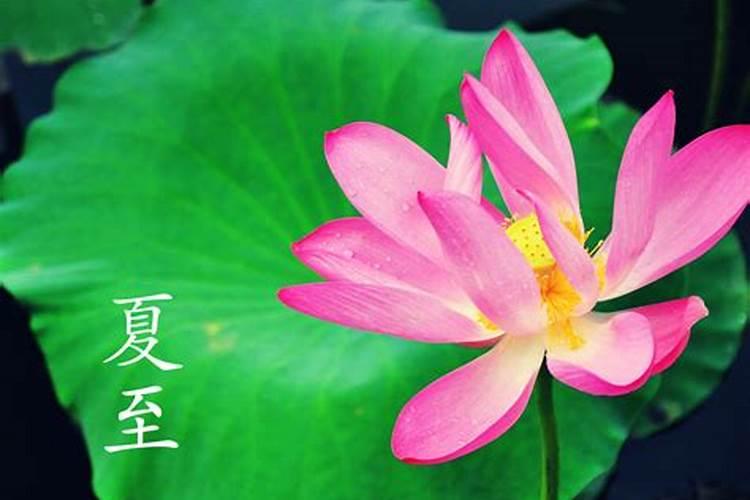 24节气中的夏至是什么意思