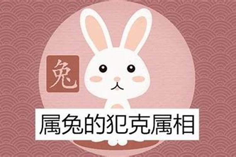 女属兔男属马合不合