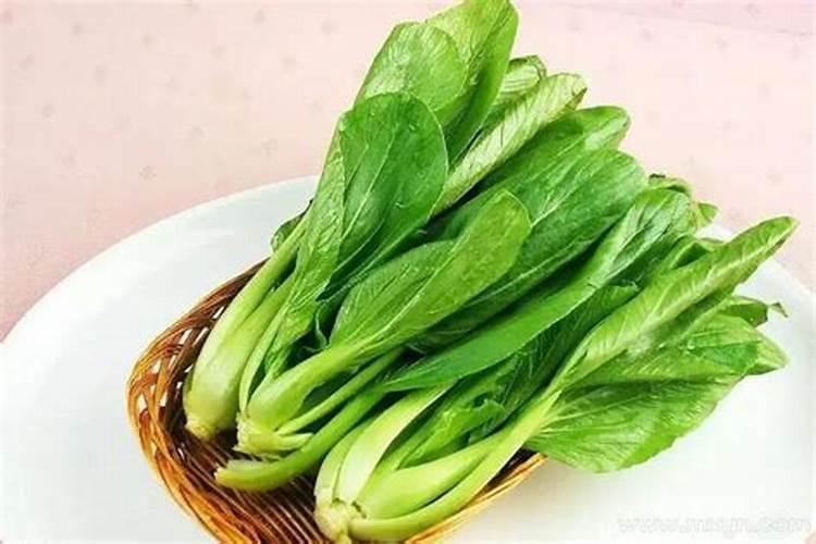 梦到青菜什么意思