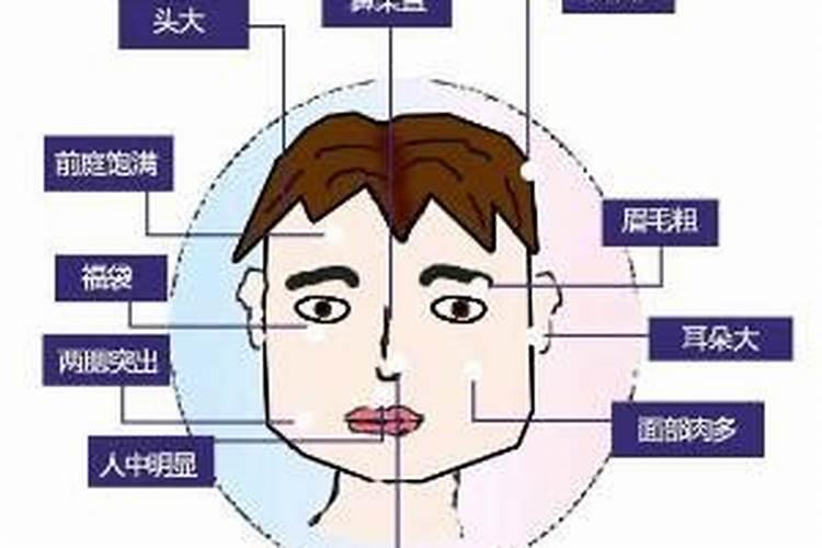 男人旺妻相有哪些特征