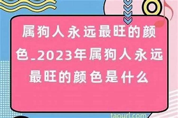 2006年属狗读书的方位