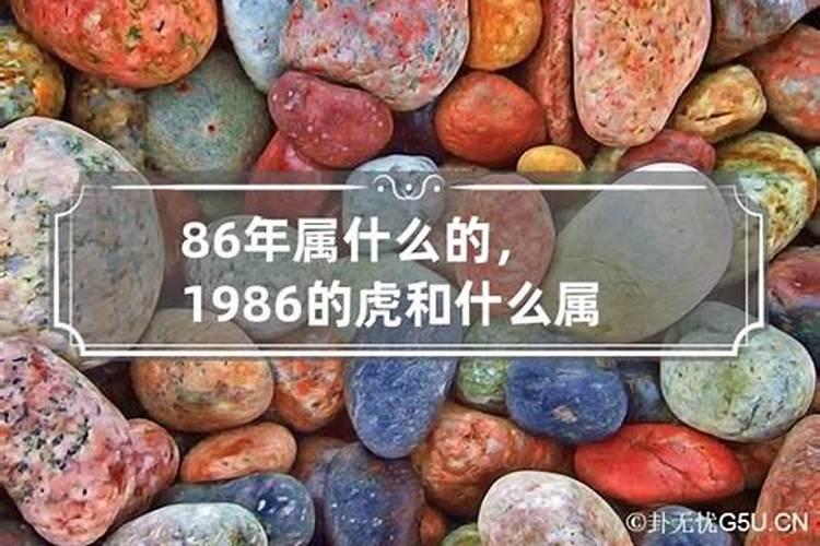 86年属虎五行属啥