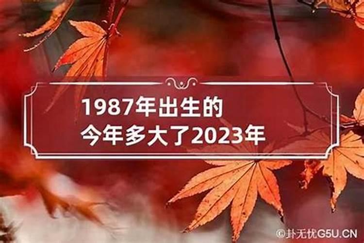 77年出生本命年是哪年