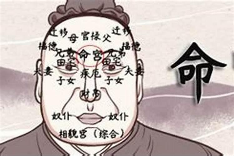 八字看命理几个孩子怎么看