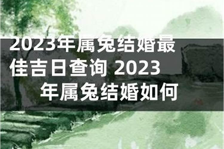 属狗和属兔2023年结婚吉日