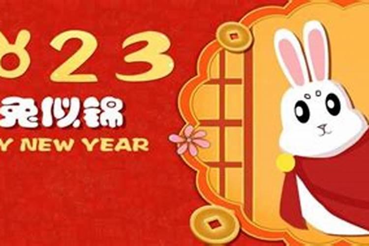 属兔的本命年是202几年