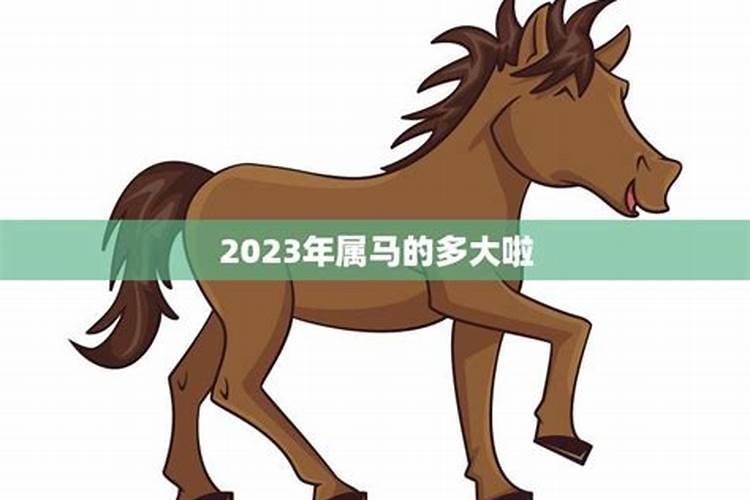 2014年属马的今年几周岁