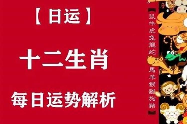 家里有这3大生肖，2023年起鸿运当头，富贵无忧