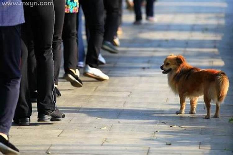 梦见女人跟我走是什么征兆