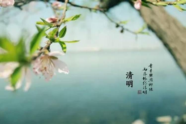 清明节在哪个