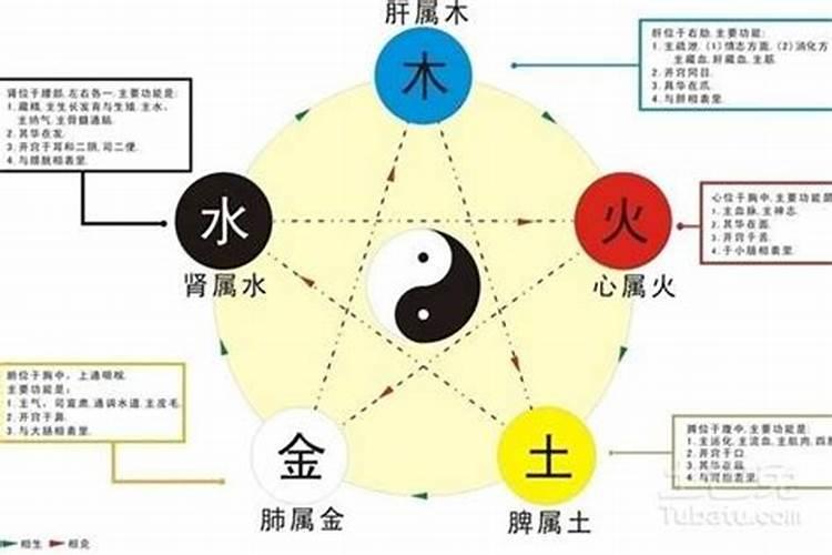 五行缺水化解方法