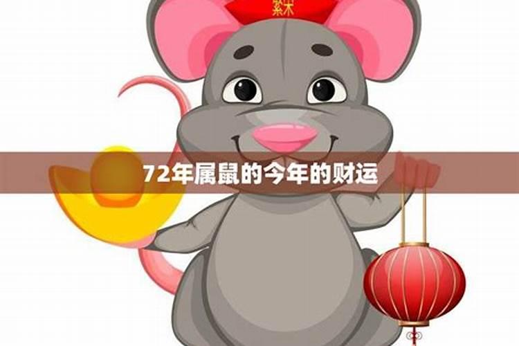 属鼠的女生今年的运势如何