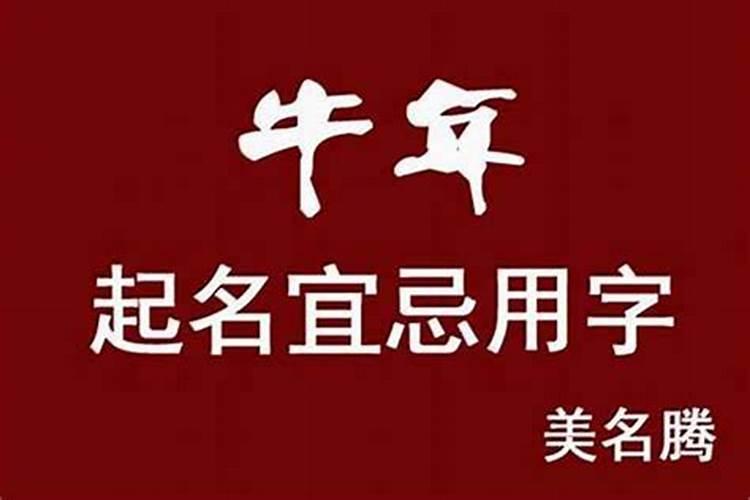 属牛的人公司起名宜用字大全