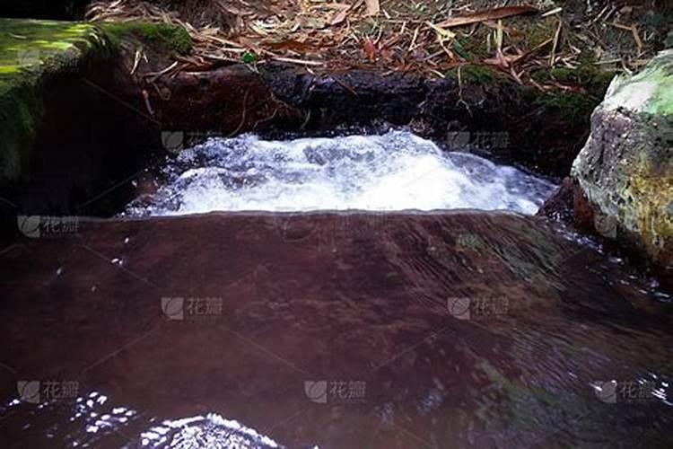 梦到渠里流水很清澈