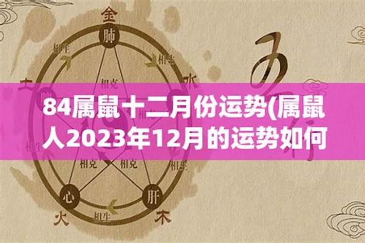 84面12月属鼠2023年运势