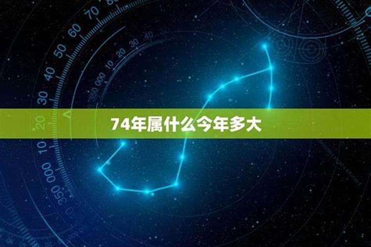 74年属什么2023年多大