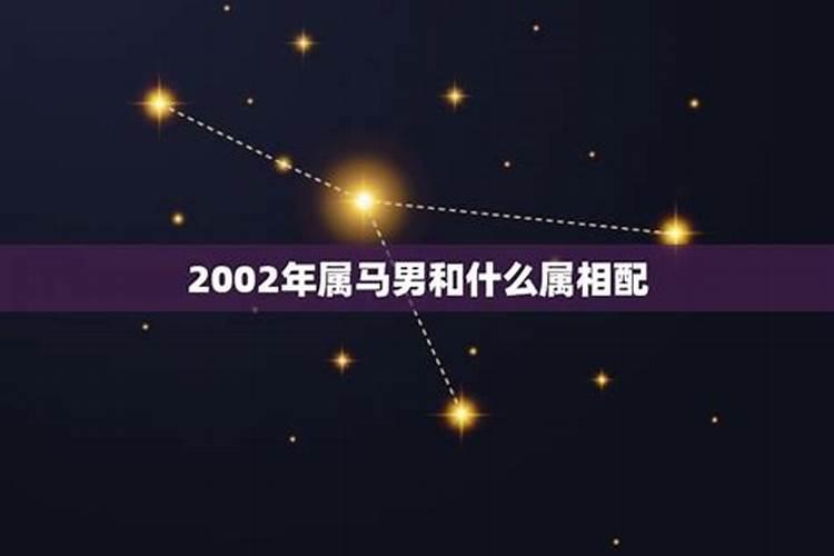 2002年属马男一生命运