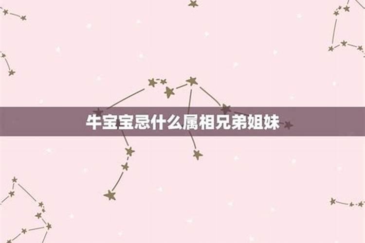 牛宝宝忌什么属相兄弟姐妹