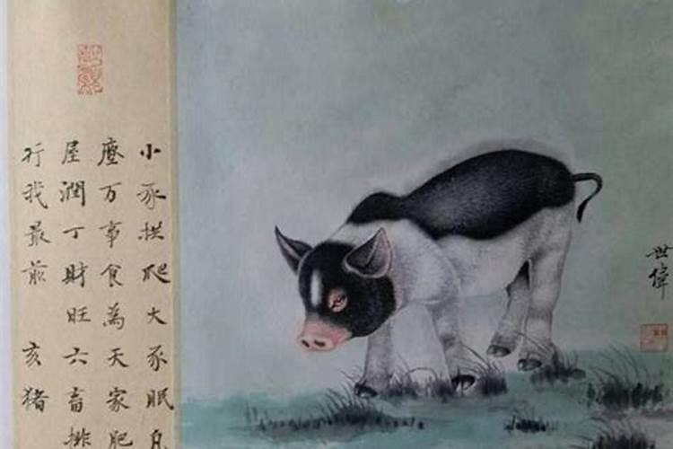 梦见好多猫还有死猫