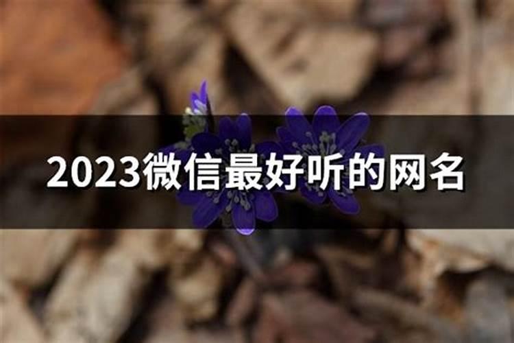 2023年最好听的微信昵称