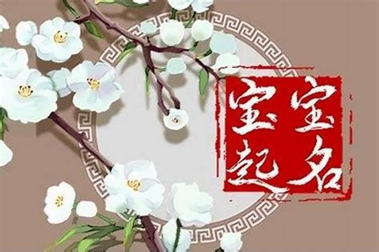 虎年宝宝取名宜用字根