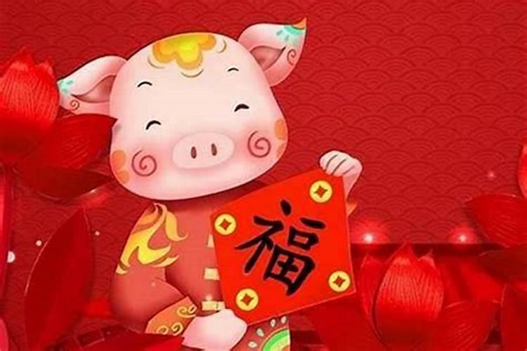 详解属“猪”人的新年运势