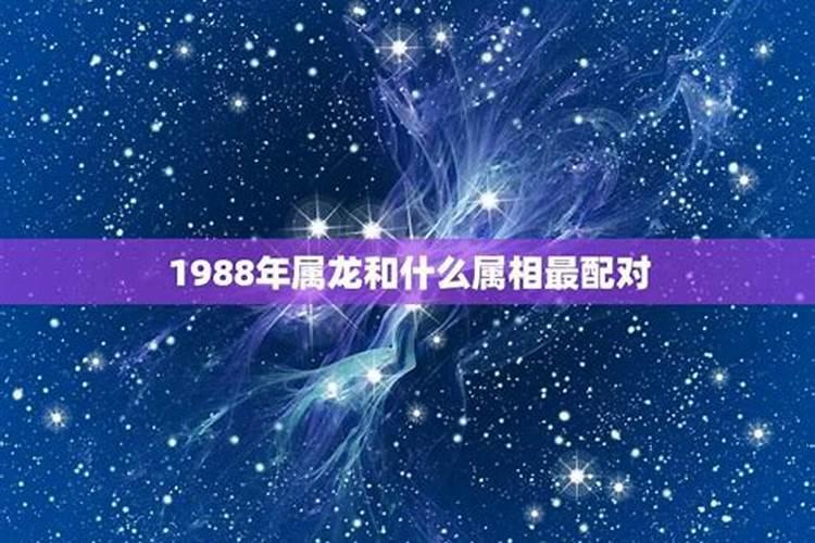 1988年和什么属相最配婚姻