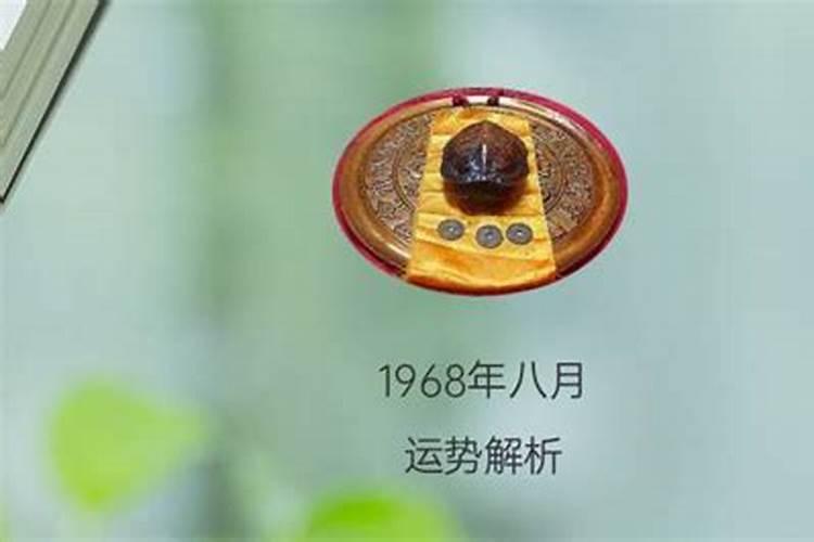 1986年农历十月二十八出生的人运势