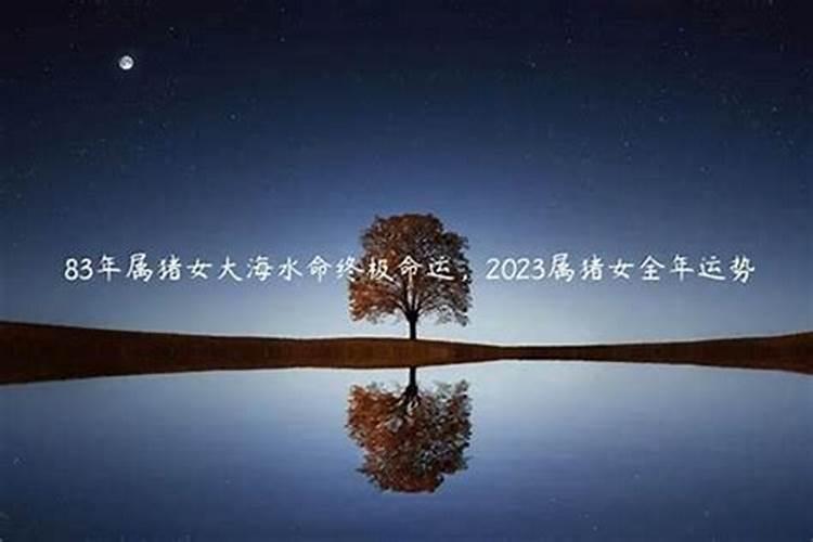 2023年五行属什么命缺什么