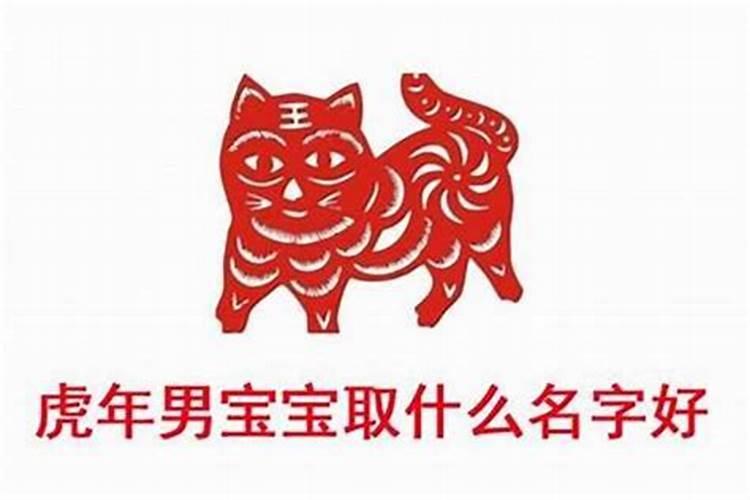 明年适合虎宝宝取名喜欢用字