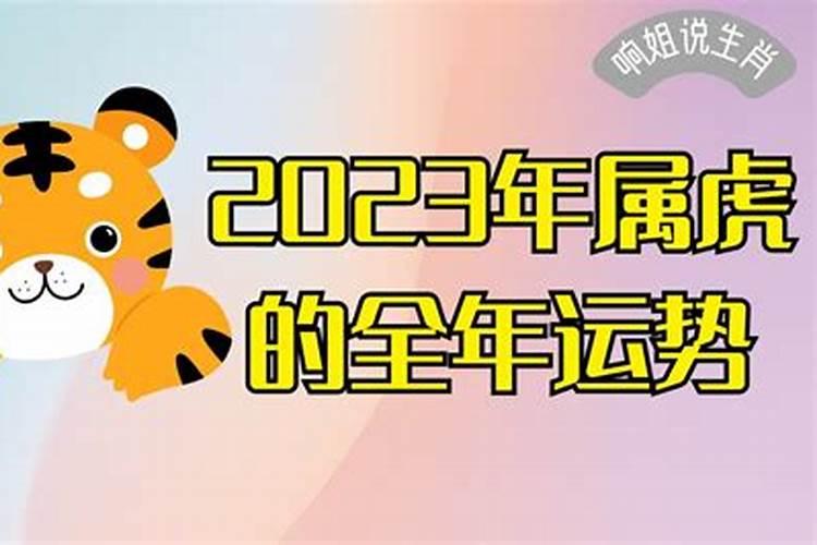 2023属虎人全年运势