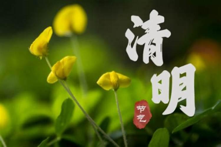 清明节可以提前去祭拜吗