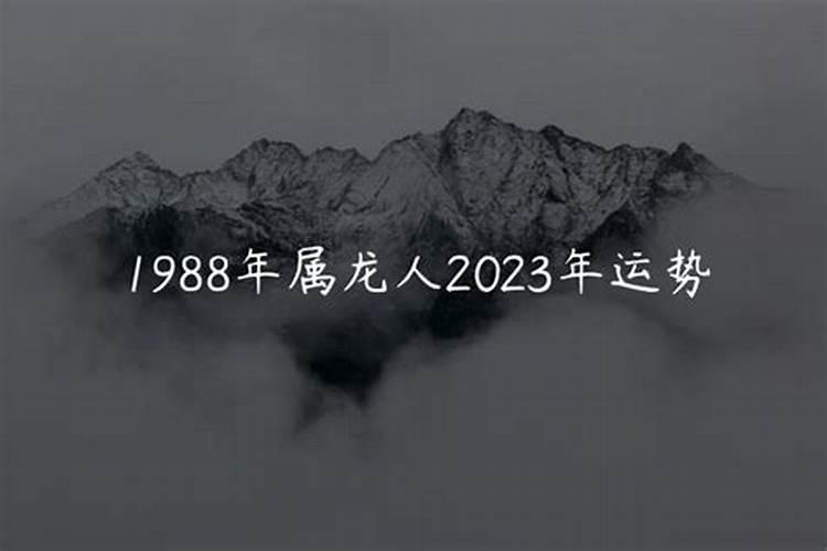 1988年11月出生的今年运势